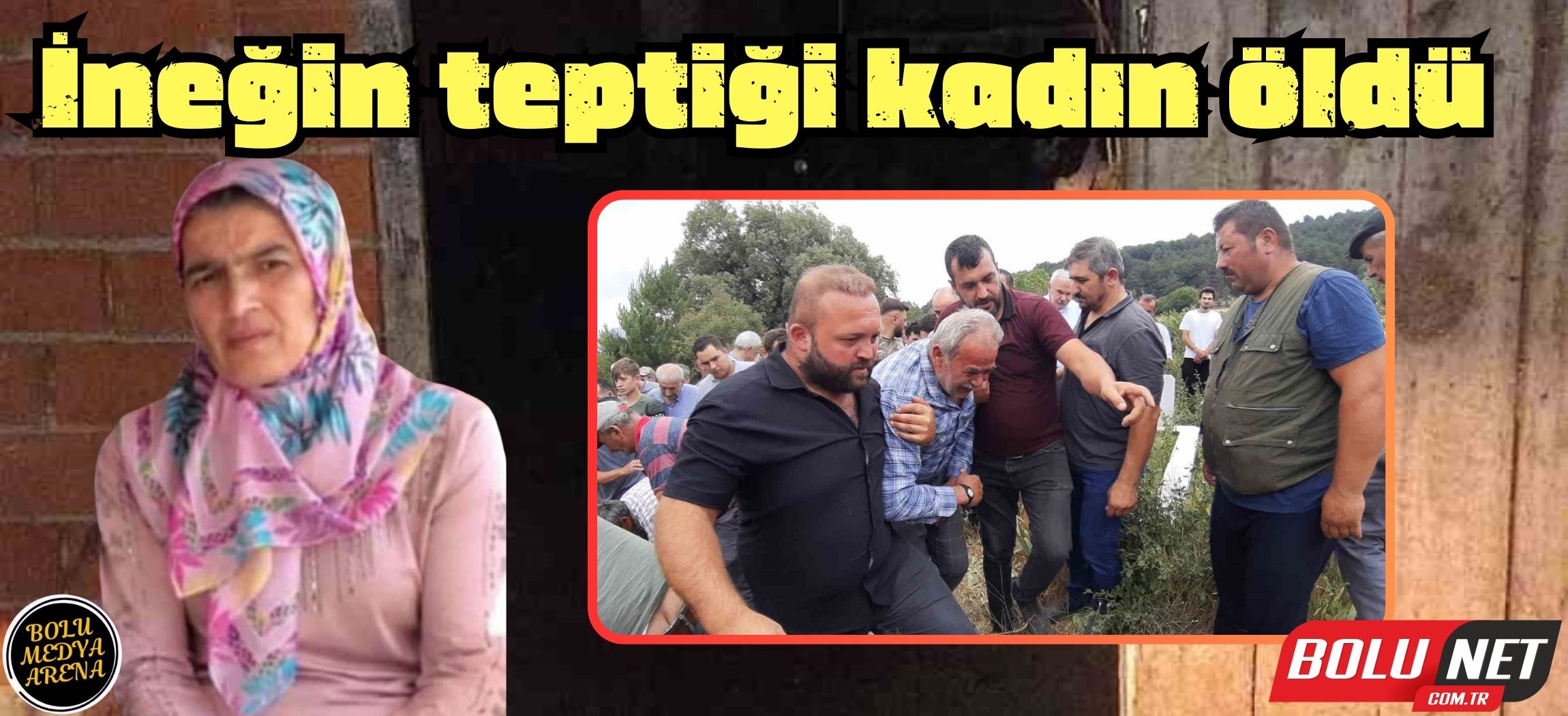 İneğin teptiği kadın öldü...BoluNet