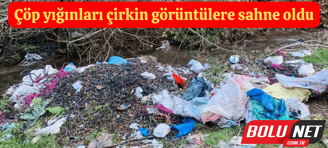 Çöp yığınları çirkin görüntülere sahne oldu ...BoluNet