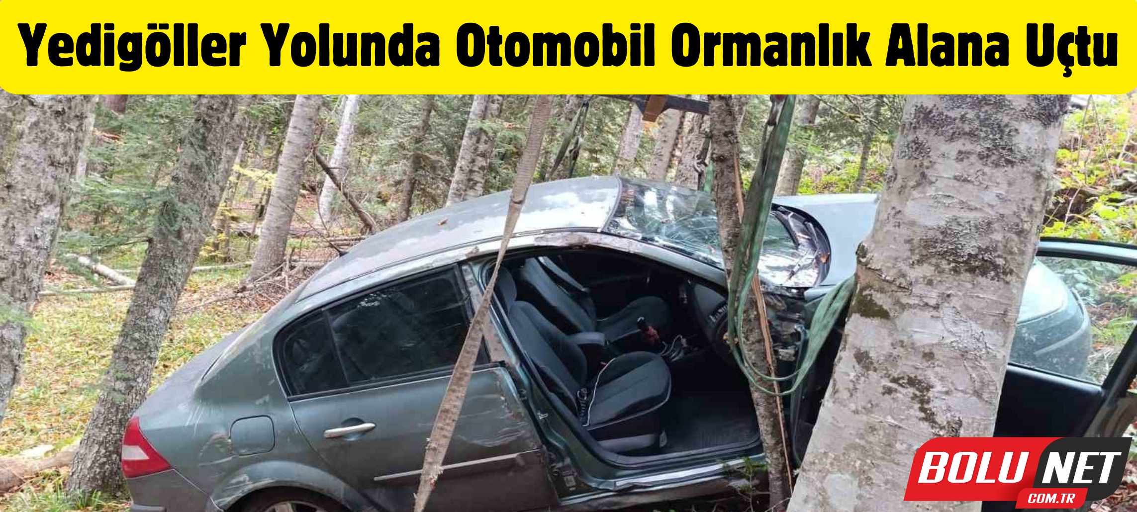 Yedigöller yolunda otomobil ormanlık alana uçtu ...BoluNet