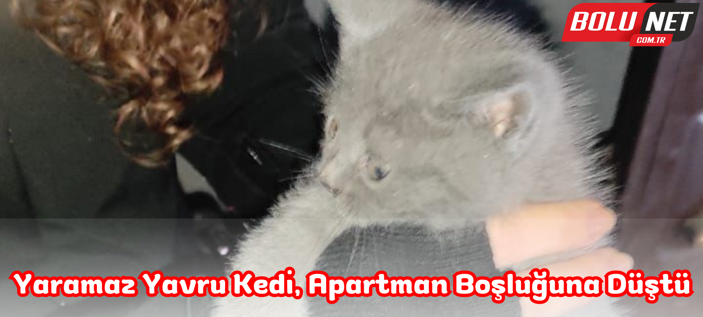 Yaramaz yavru kedi, apartman boşluğuna düştü ...BoluNet