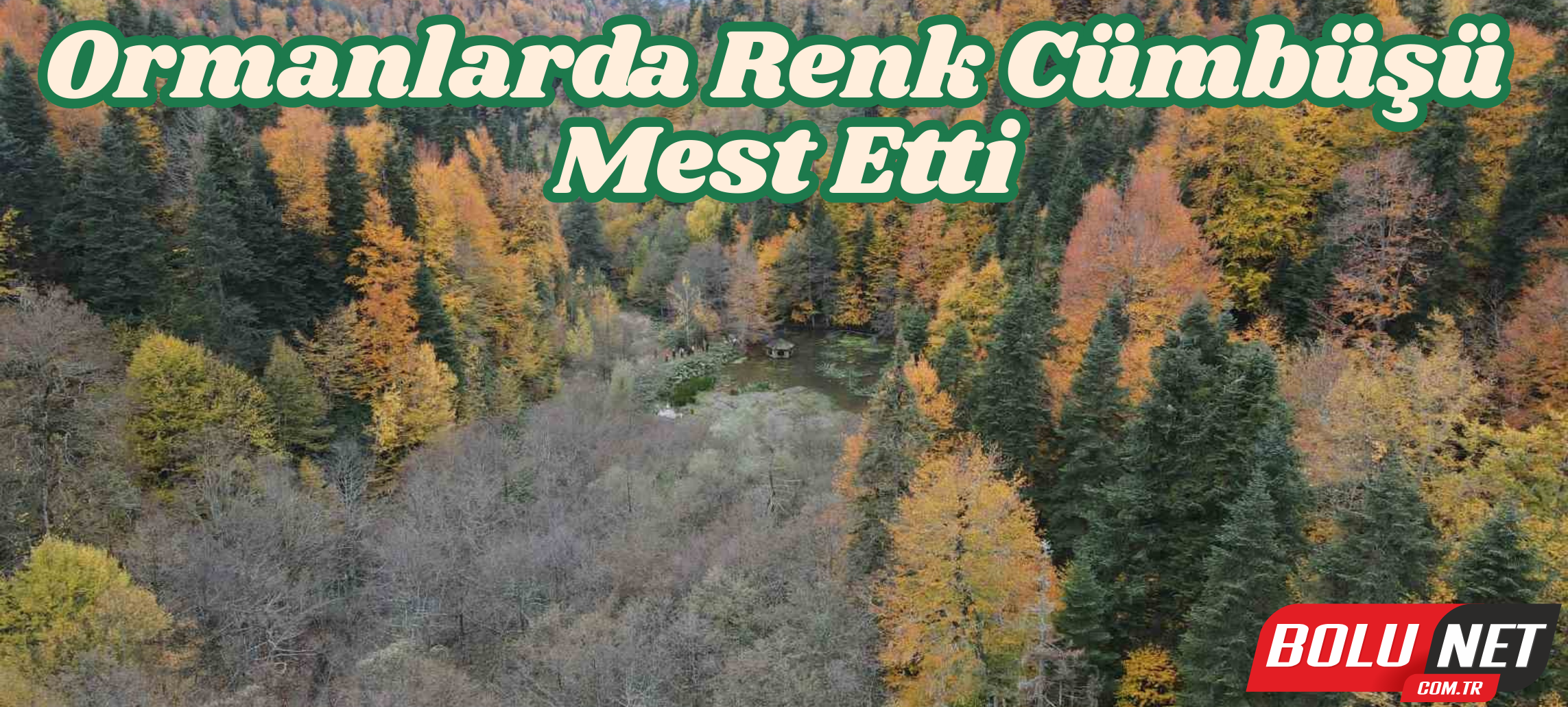 Ormanlarda renk cümbüşü mest etti ...BoluNet