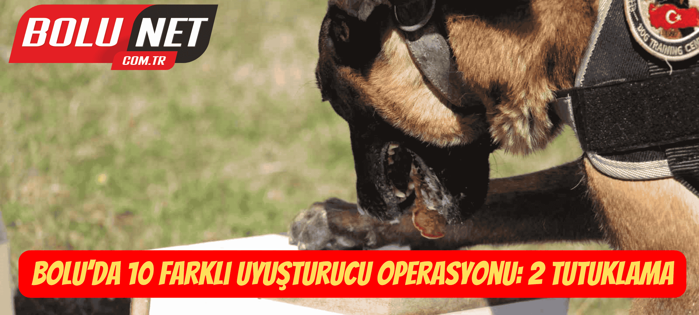 Bolu’da 10 farklı uyuşturucu operasyonu: 2 tutuklama ...BoluNet