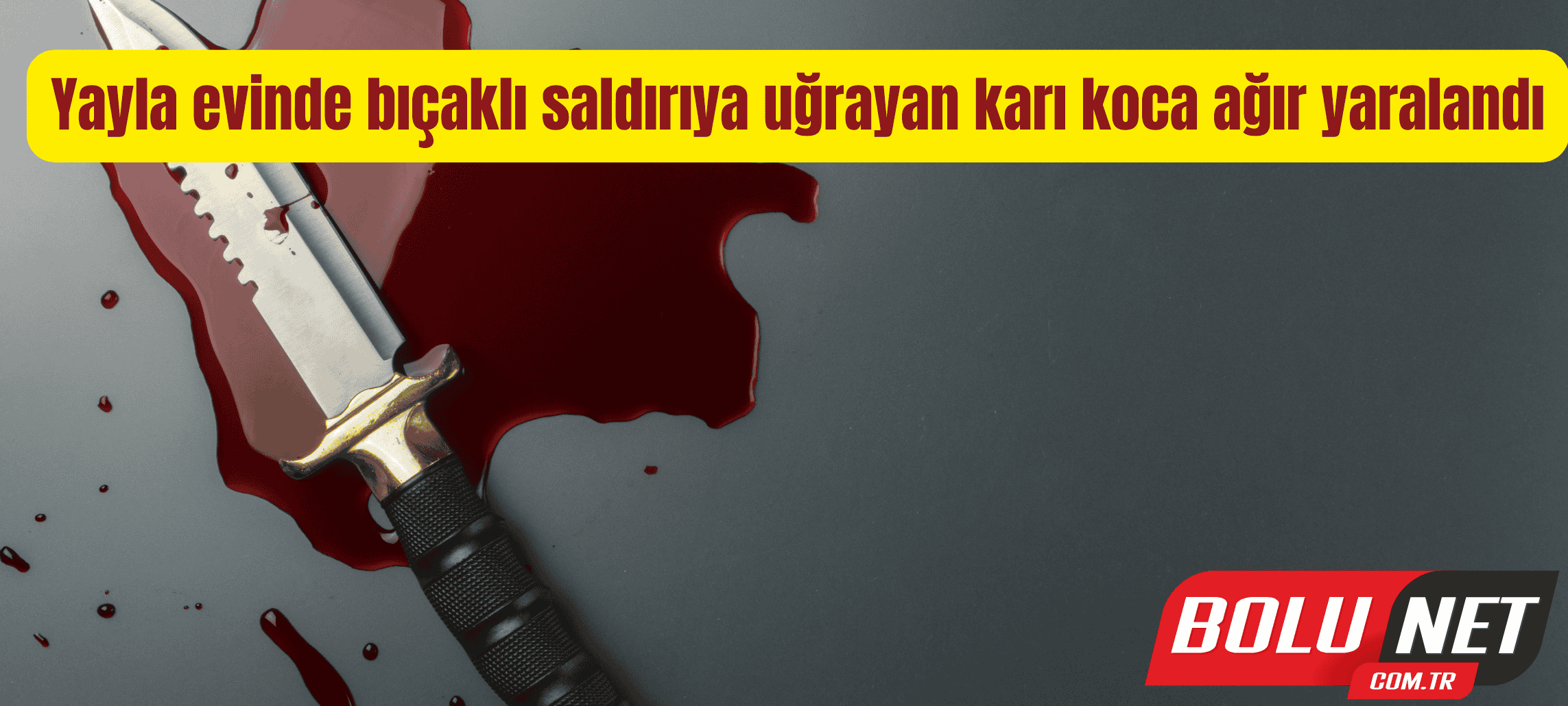 Yayla evinde bıçaklı saldırıya uğrayan karı koca ağır yaralandı ...BoluNet