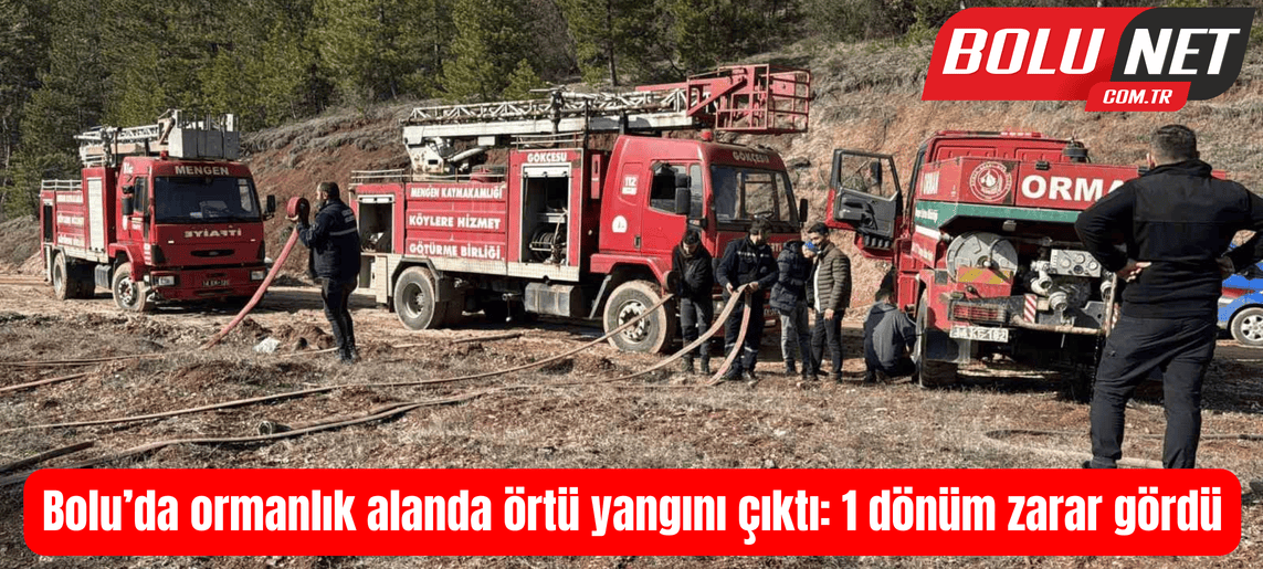 Bolu’da ormanlık alanda örtü yangını çıktı: 1 dönüm zarar gördü ...BoluNet