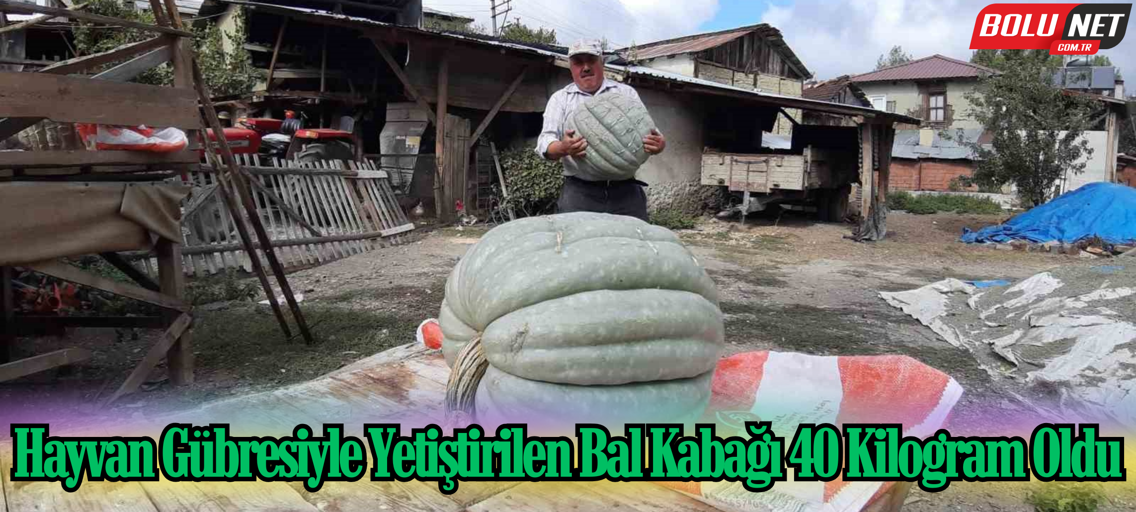 Hayvan gübresiyle yetiştirilen bal kabağı 40 kilogram oldu ...BoluNet