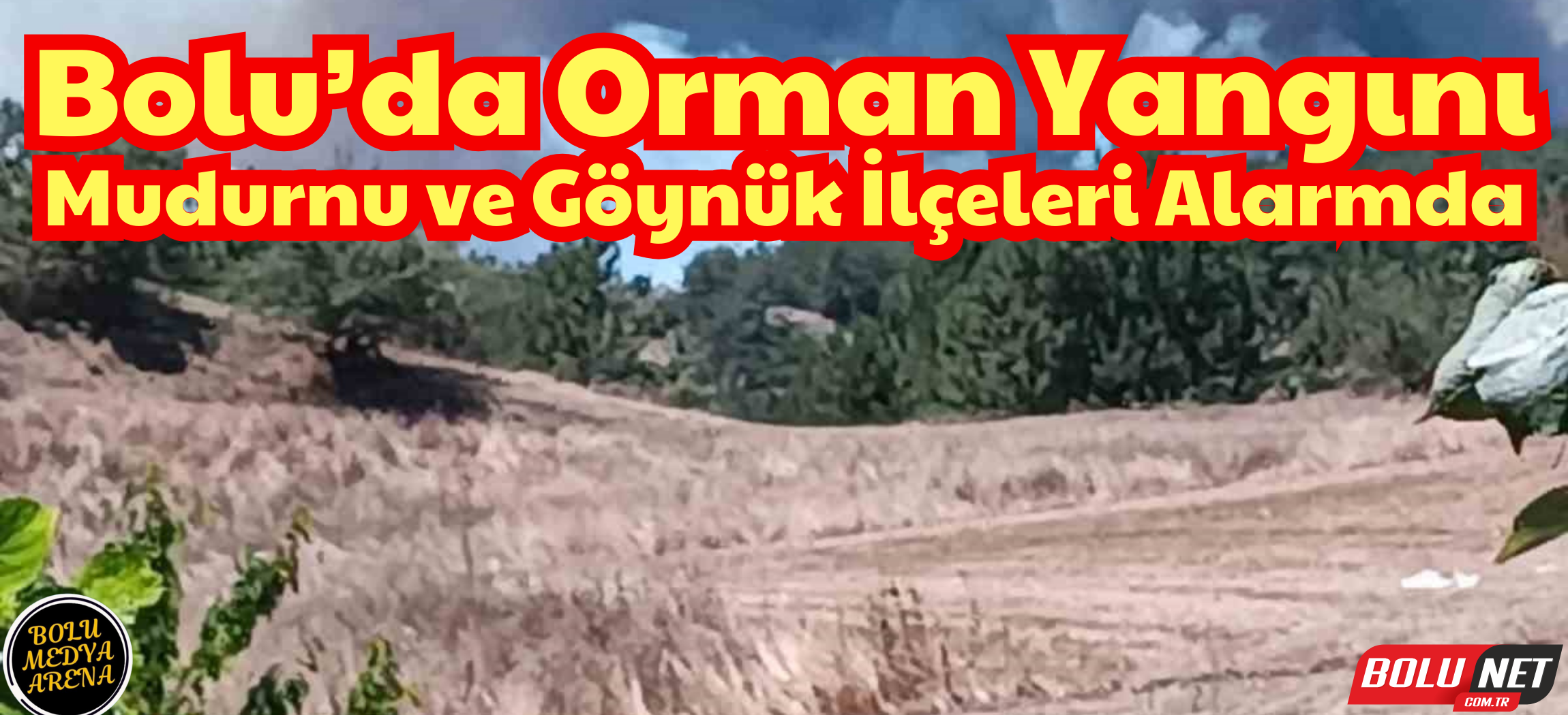 Bolu’da 2 ilçe arasında orman yangını başladı: Dumanlar gökyüzünü kapladı ...BoluNet