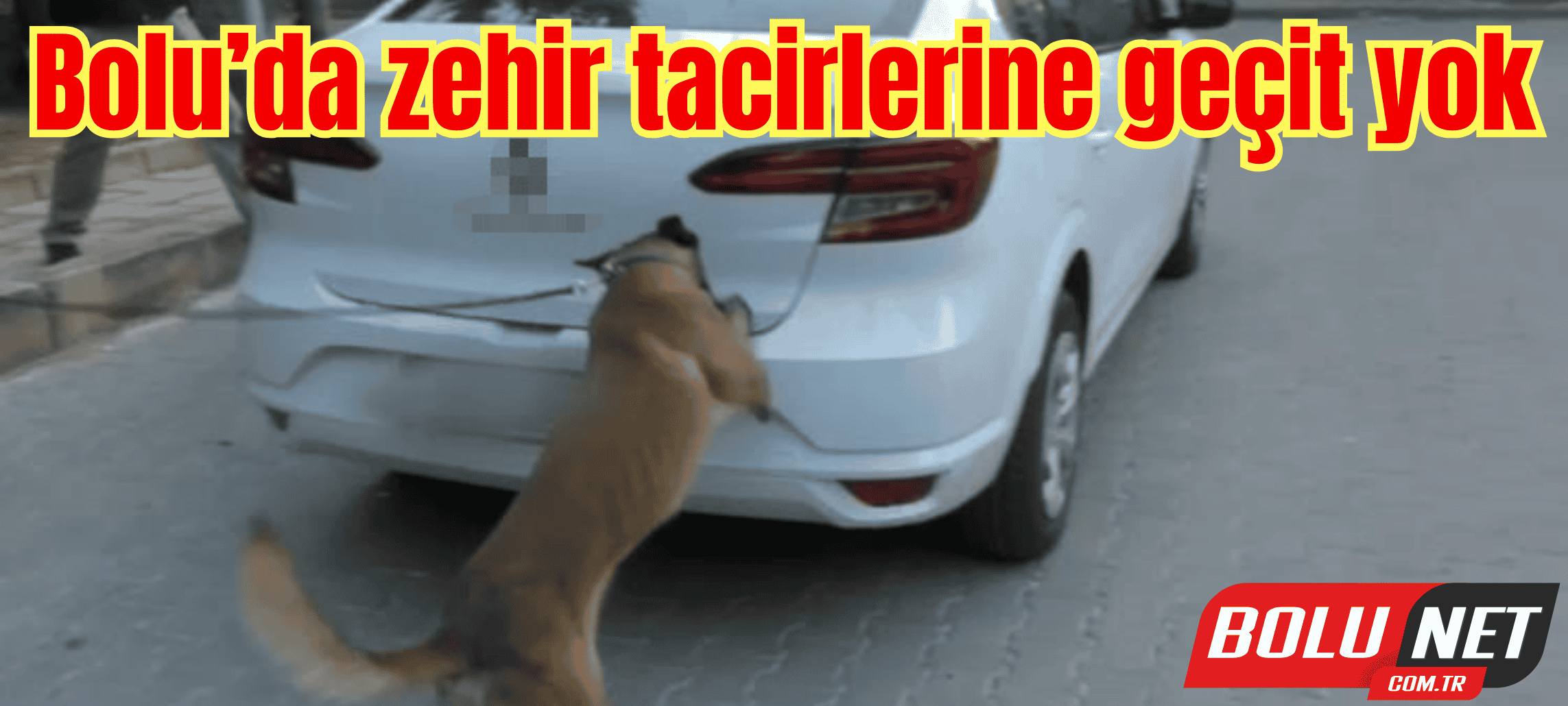 Bolu’da zehir tacirlerine geçit yok: 12 gözaltı ...BoluNet