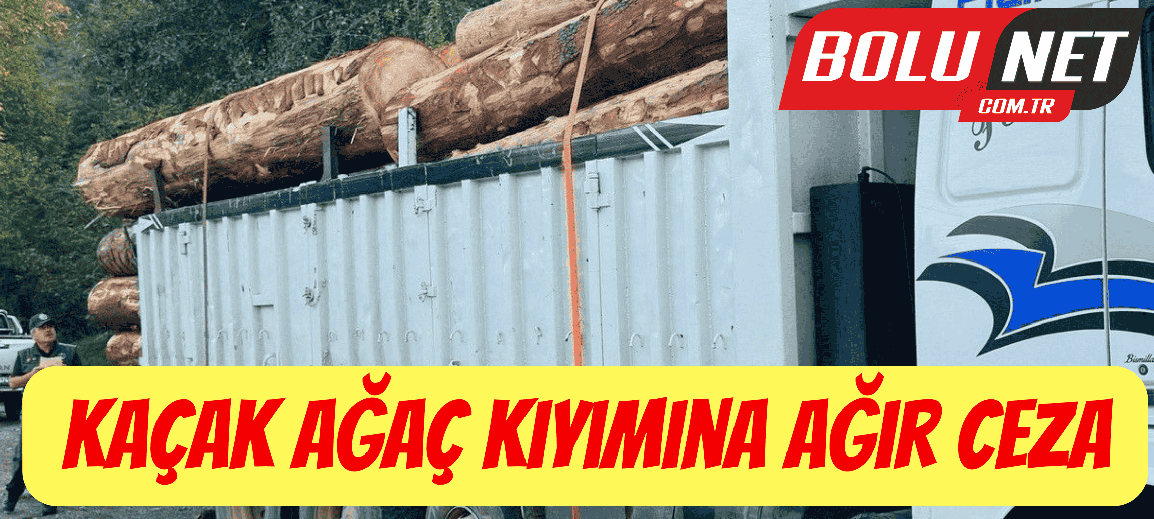 Kaçak ağaç kıyımına ağır ceza ...BoluNet