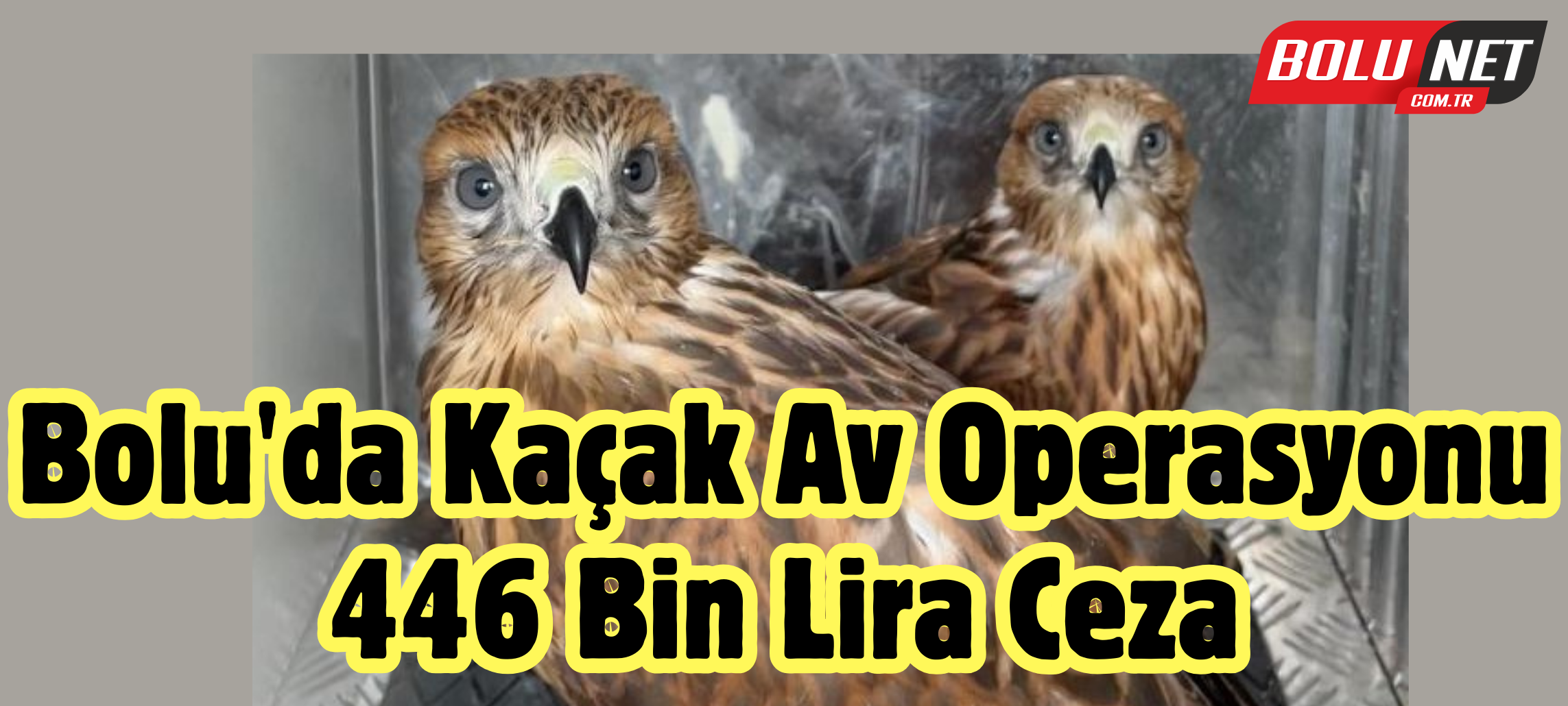 Kuş kaçakçıları yakalandı: 446 bin 455 lira para cezası ...BoluNet