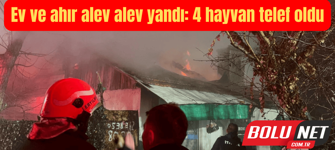 Ev ve ahır alev alev yandı: 4 hayvan telef oldu ...BoluNet