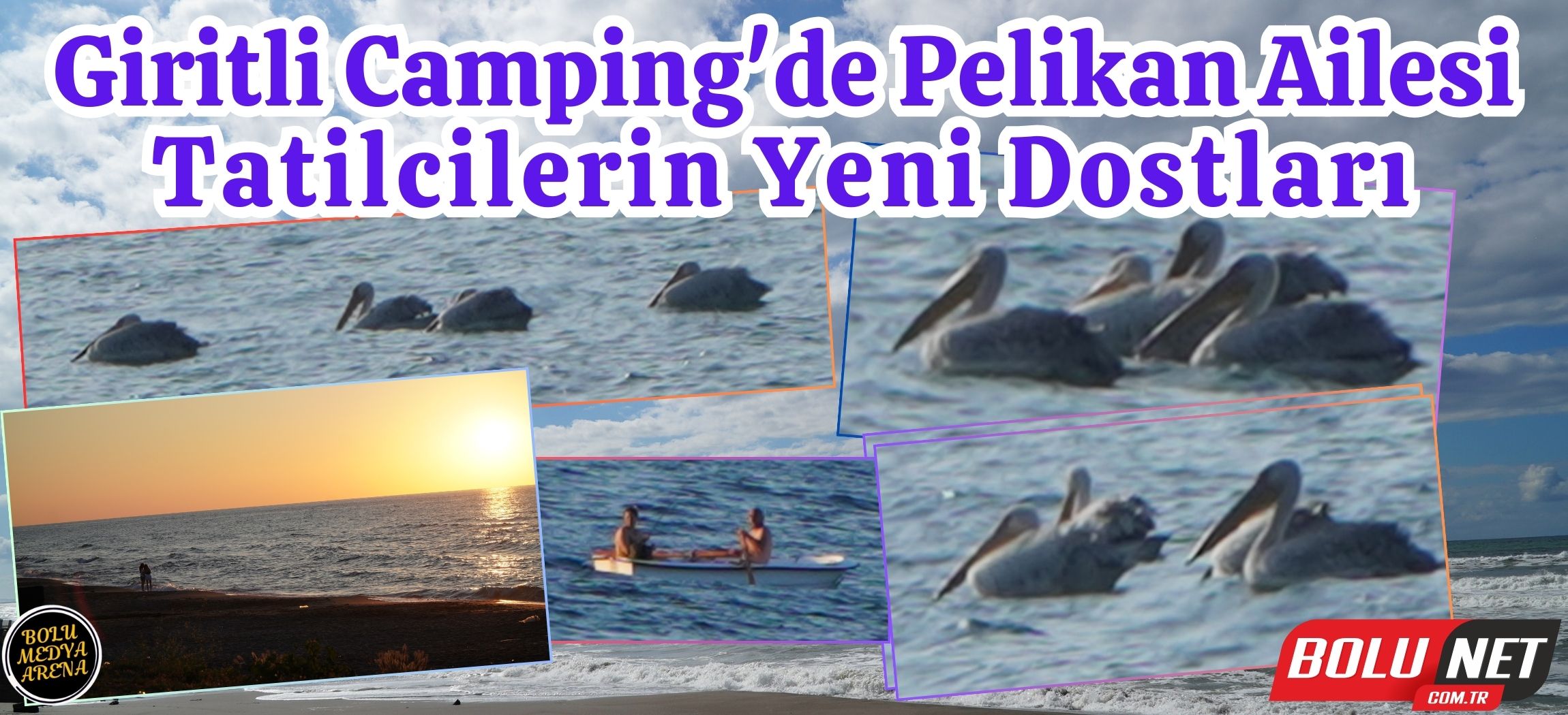 Pelikanlar Akçakoca Melenağzı'nda Giritli Camping'e Kondu... BoluNet