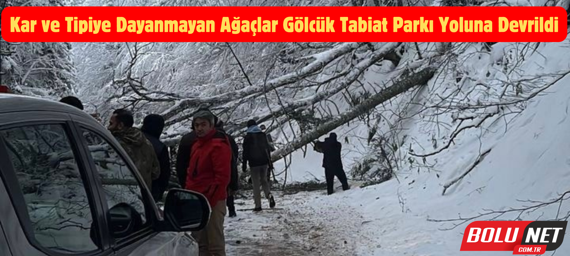 Kar ve tipiye dayanmayan ağaçlar Gölcük Tabiat Parkı yoluna devrildi ...BoluNet