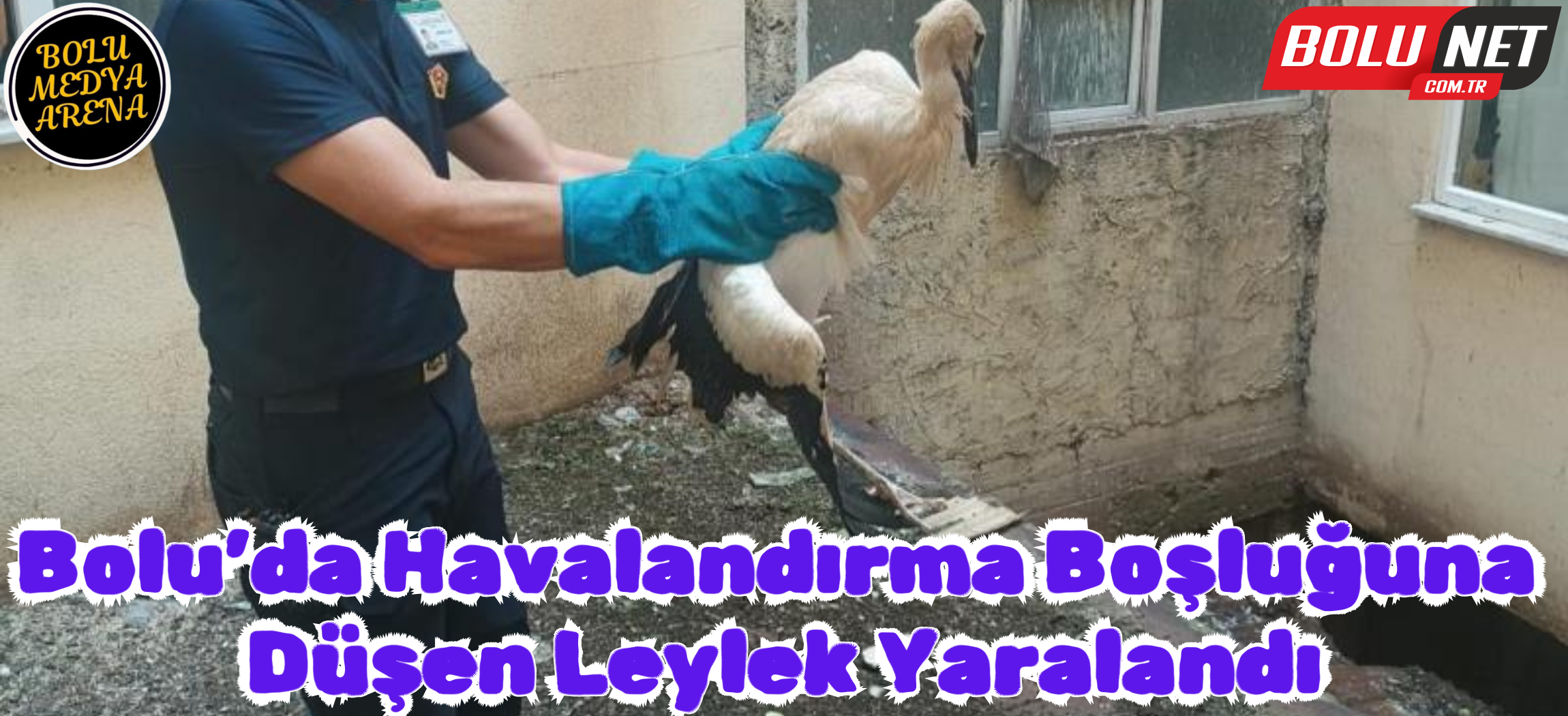 Binanın havalandırma boşluğuna düşen leylek yaralandı...BoluNet