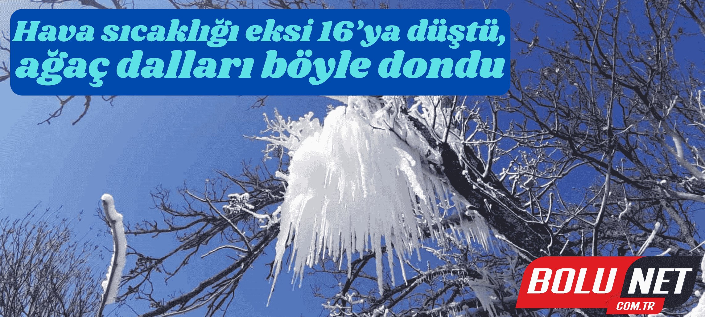 Hava sıcaklığı eksi 16’ya düştü, ağaç dalları böyle dondu ...BoluNet