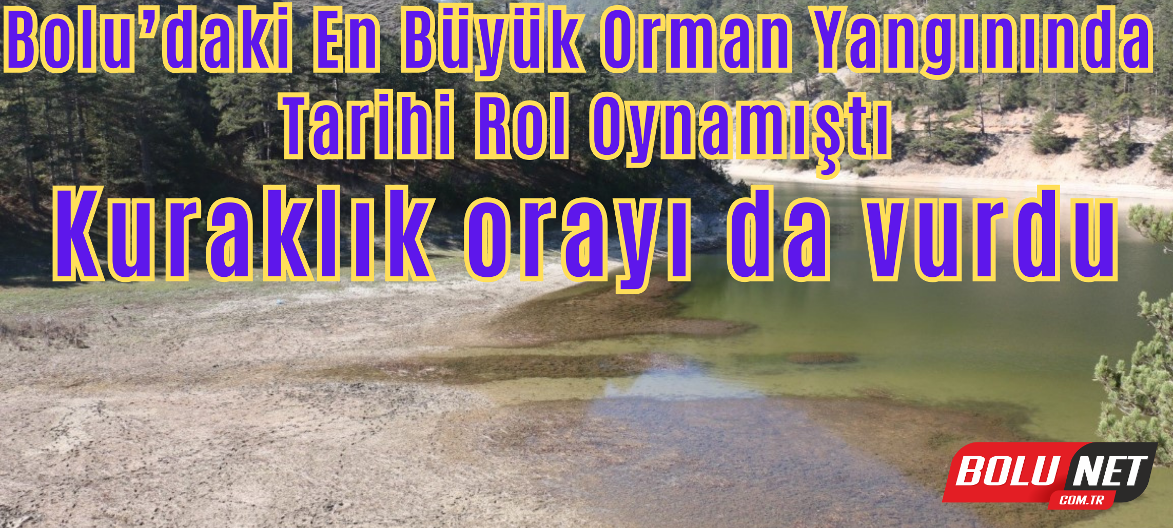 Bolu’daki en büyük orman yangınında tarihi rol oynamıştı: Kuraklık orayı da vurdu ...BoluNet