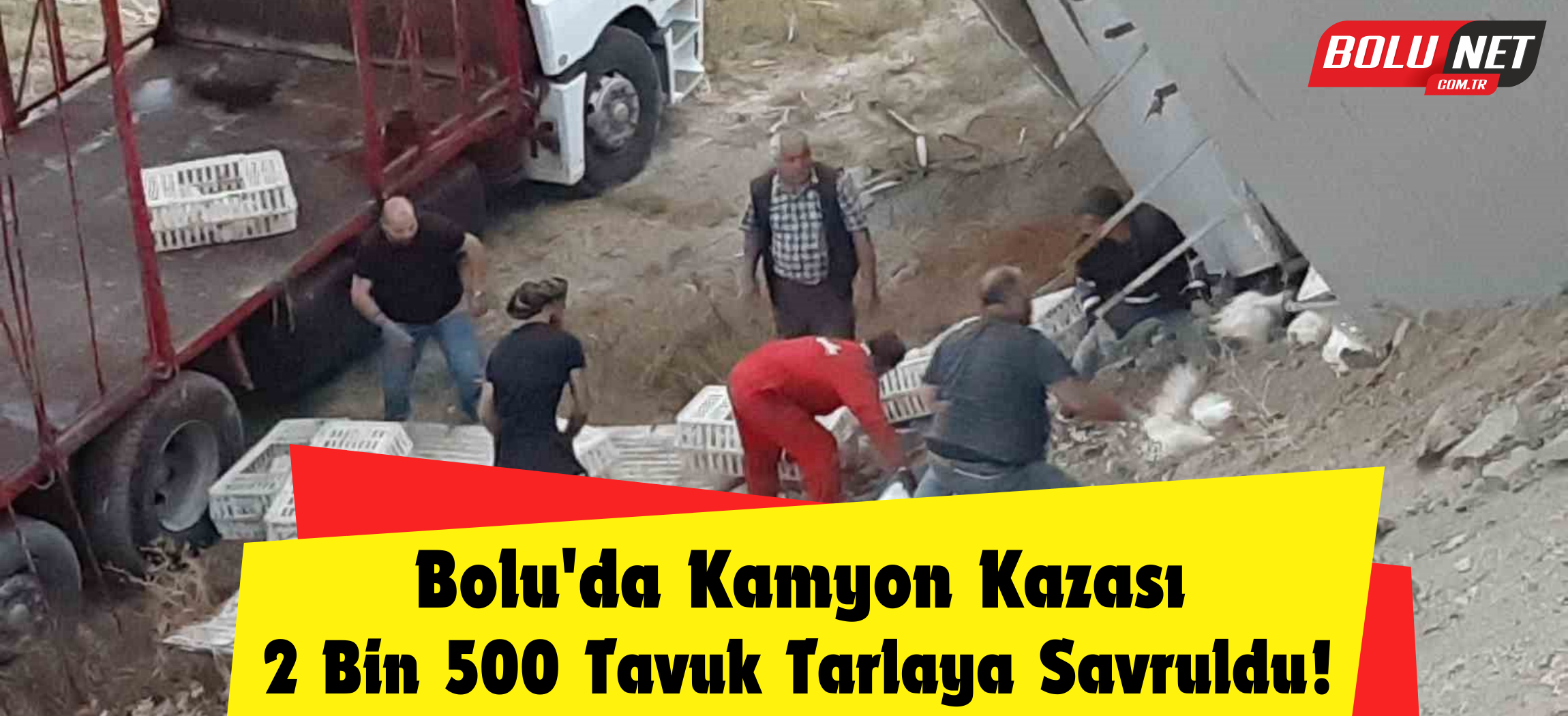 2 bin 500 canlı tavuk yüklü kamyon virajı alamayarak devrildi ...BoluNet