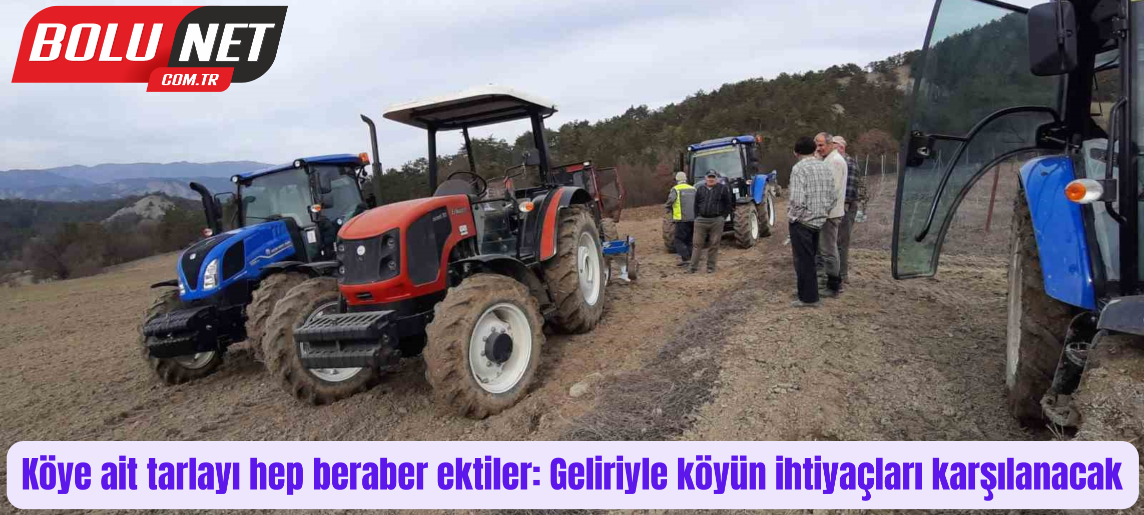 Köye ait tarlayı hep beraber ektiler: Geliriyle köyün ihtiyaçları karşılanacak ...BoluNet