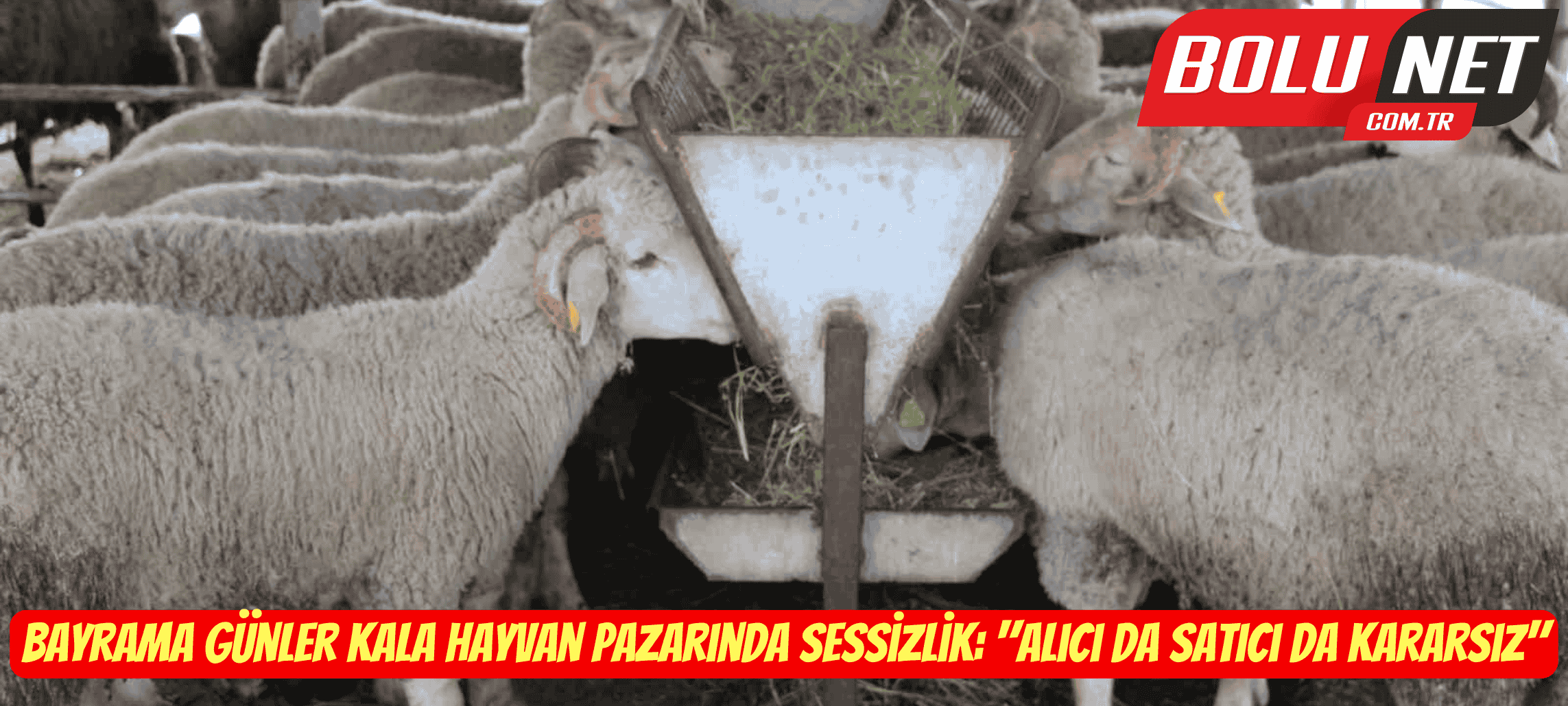 Bayrama günler kala hayvan pazarında sessizlik: 