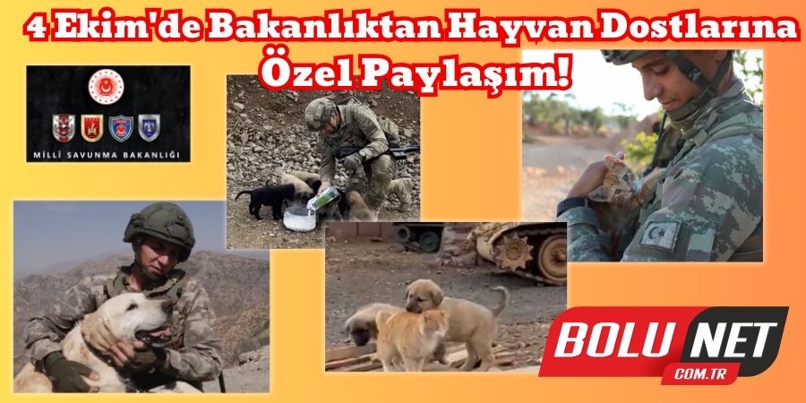 Hayvanları Koruma Günü'nde Bakanlıktan Anlamlı Adım!...BoluNet