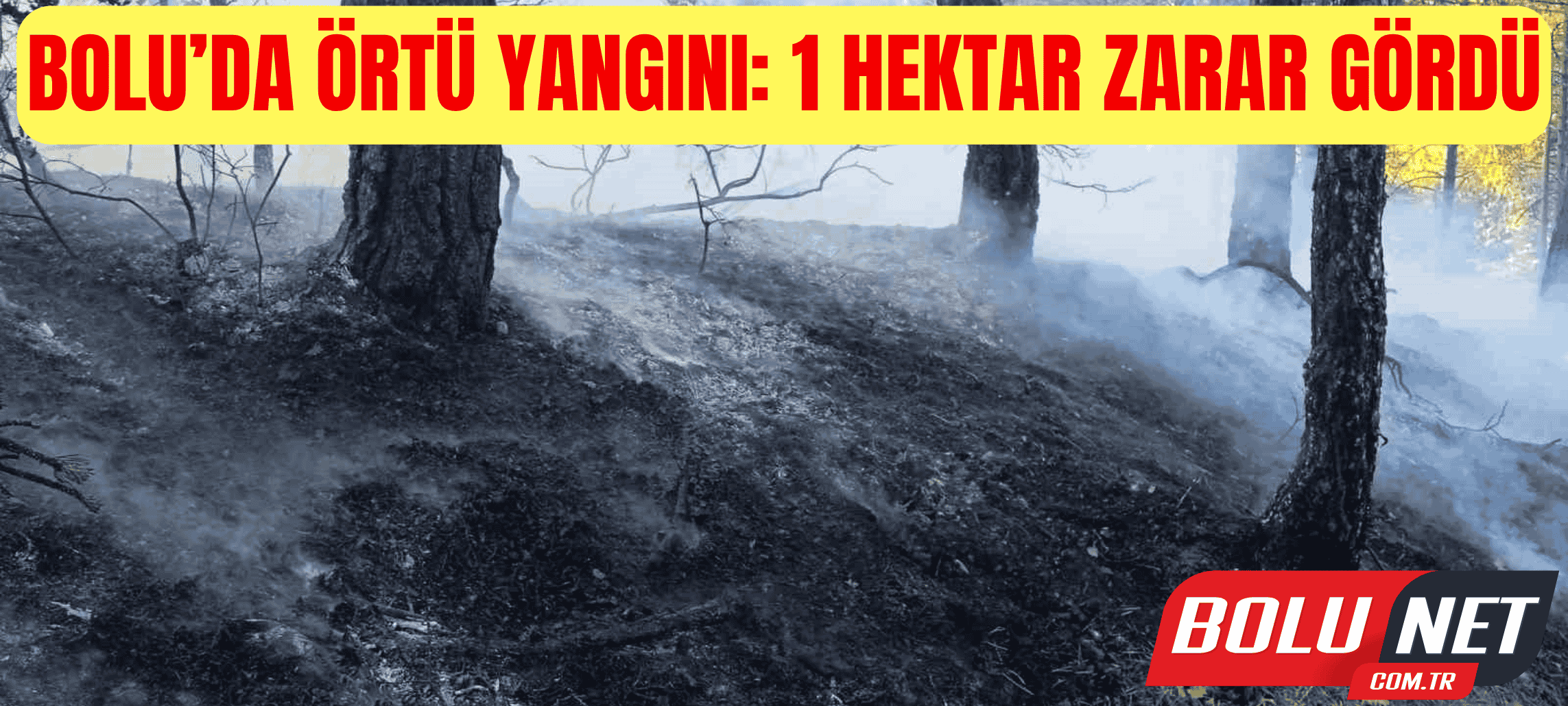 Bolu’da örtü yangını: 1 hektar zarar gördü ...BoluNet