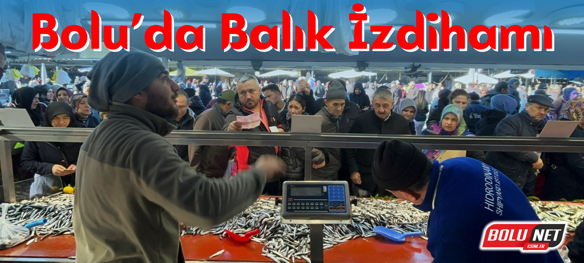 Bolu’da balık izdihamı ...BoluNet