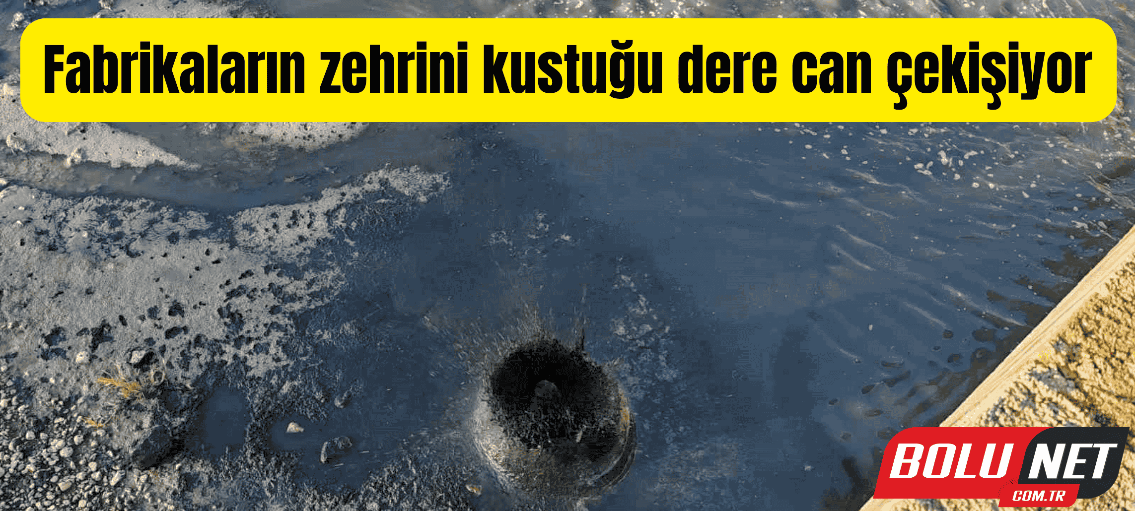 Fabrikaların zehrini kustuğu dere can çekişiyor ...BoluNet