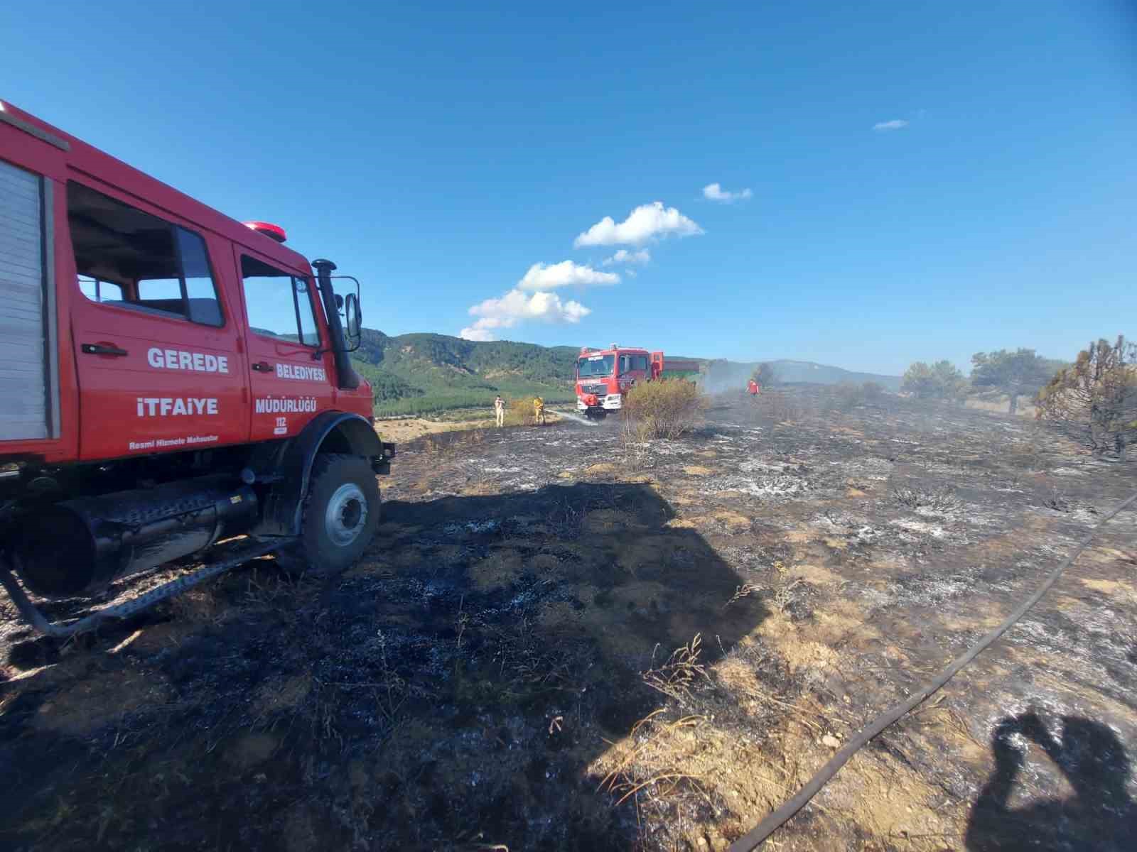 5 dönümlük otluk arazi küle döndü 