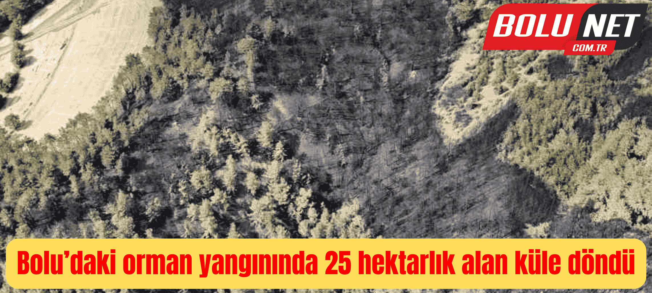 Bolu’daki orman yangınında 25 hektarlık alan küle döndü ...BoluNet