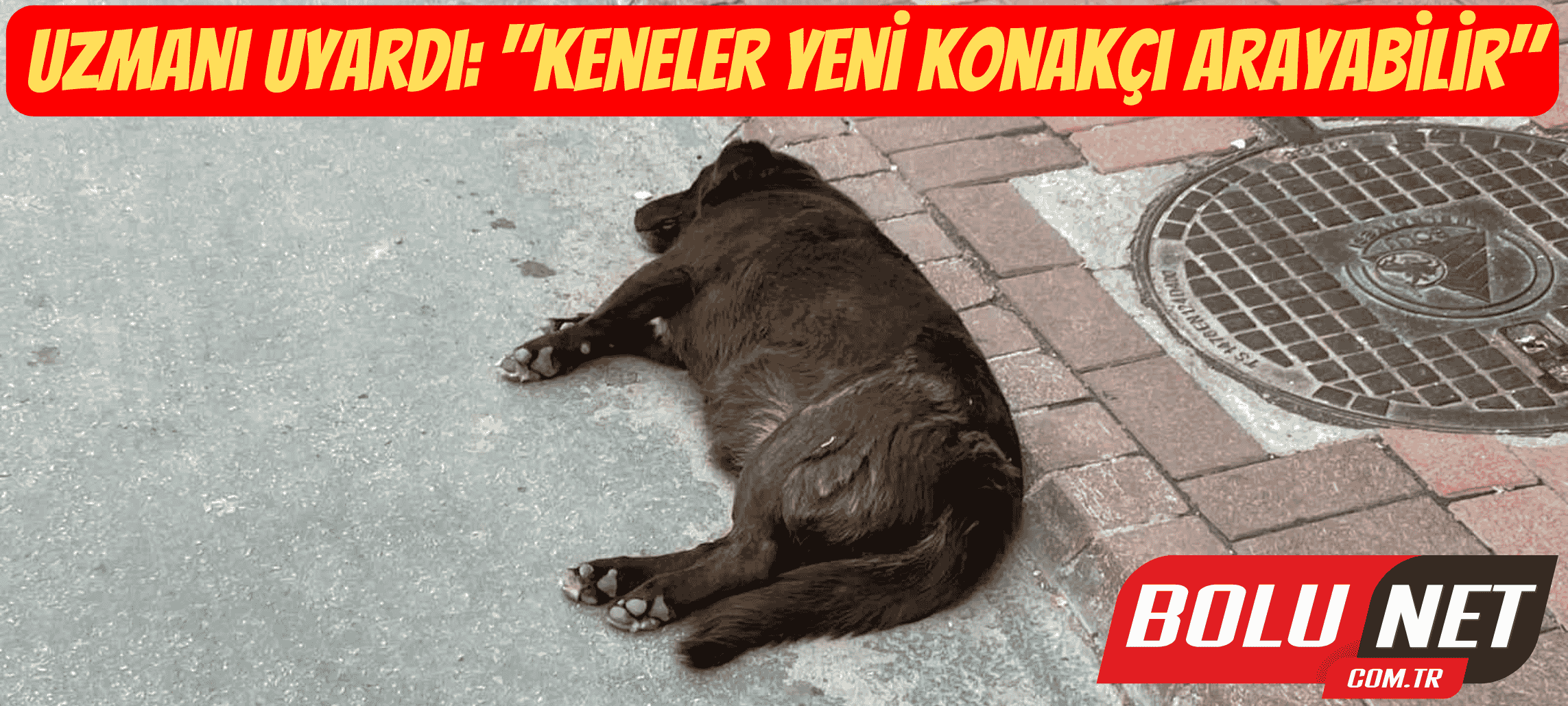 Uzmanı uyardı: 