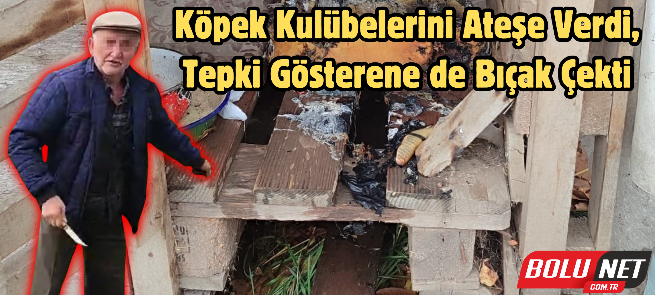 Köpek kulübelerini ateş verdi, tepki gösterene de bıçak çekti ...BoluNet