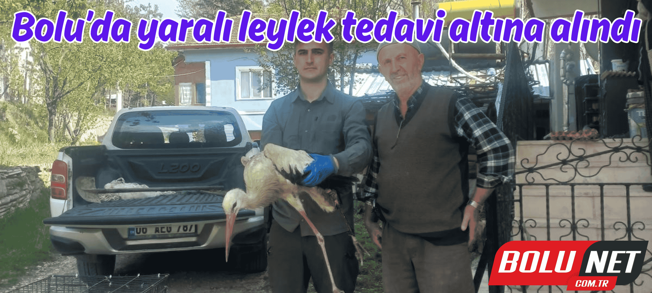Bolu’da yaralı leylek tedavi altına alındı ...BoluNet