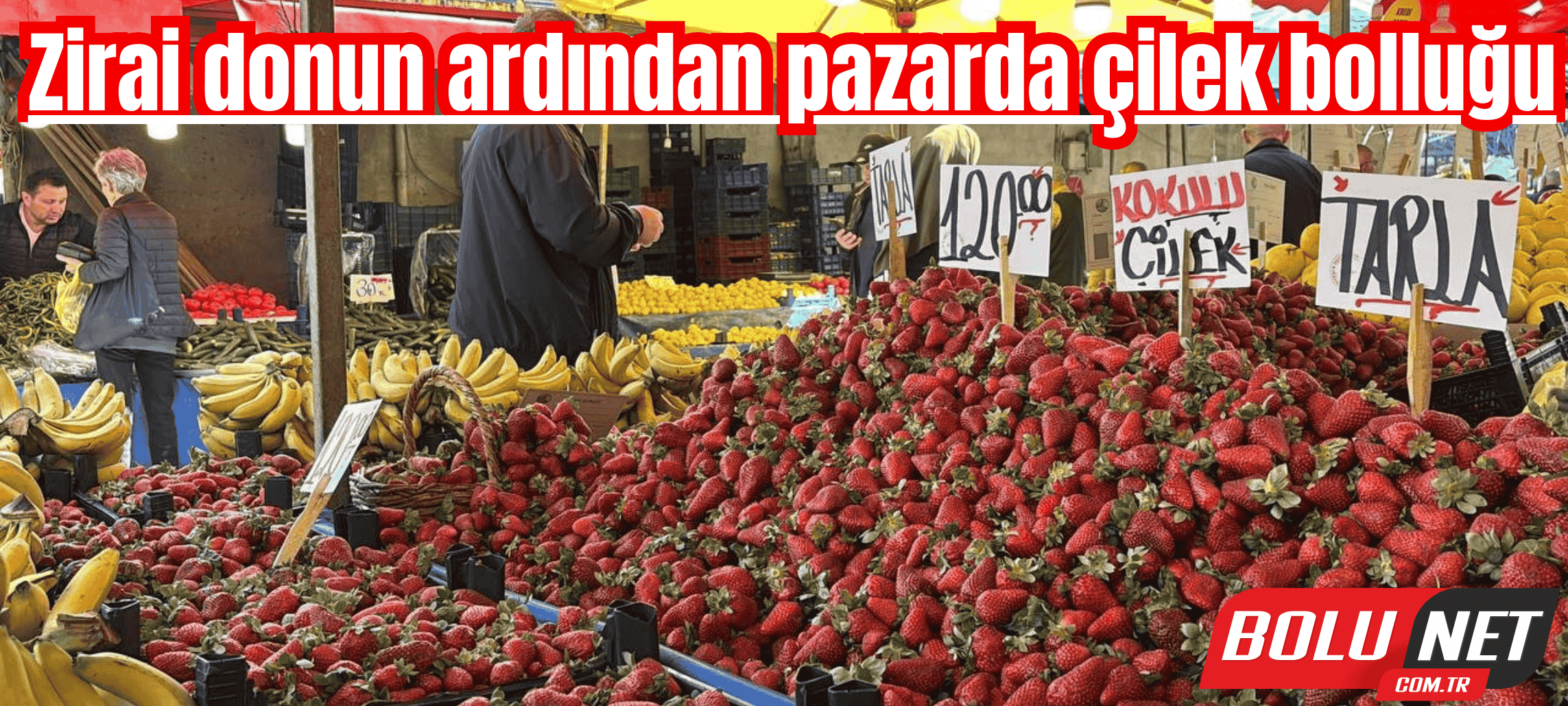 Zirai donun ardından pazarda çilek bolluğu...BoluNet