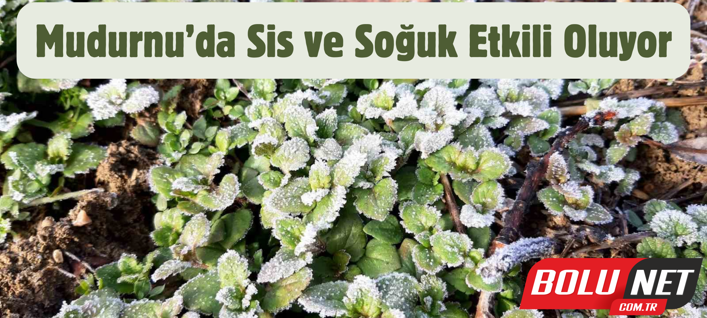 Mudurnu’da sis ve soğuk etkili oluyor ...BoluNet