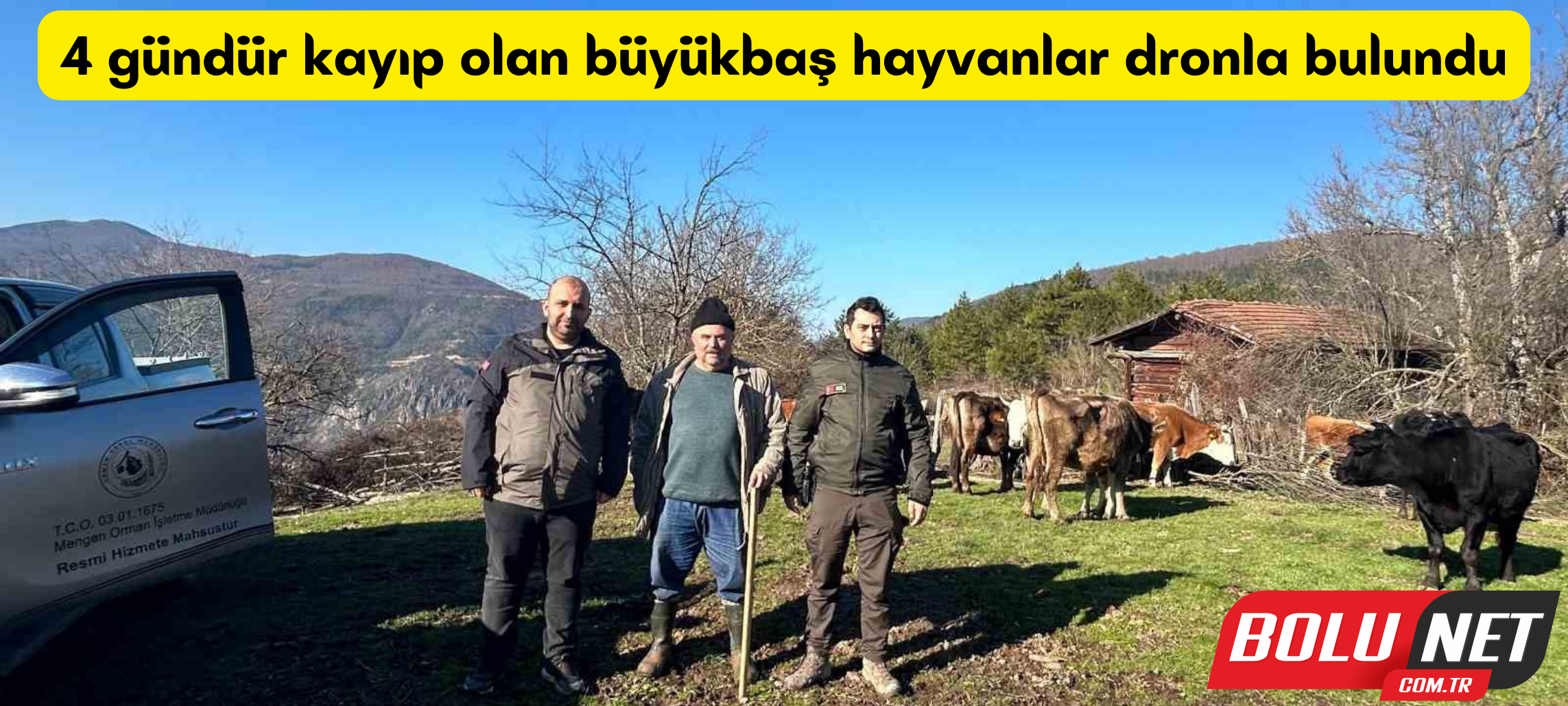 4 gündür kayıp olan büyükbaş hayvanlar dronla bulundu ...BoluNet