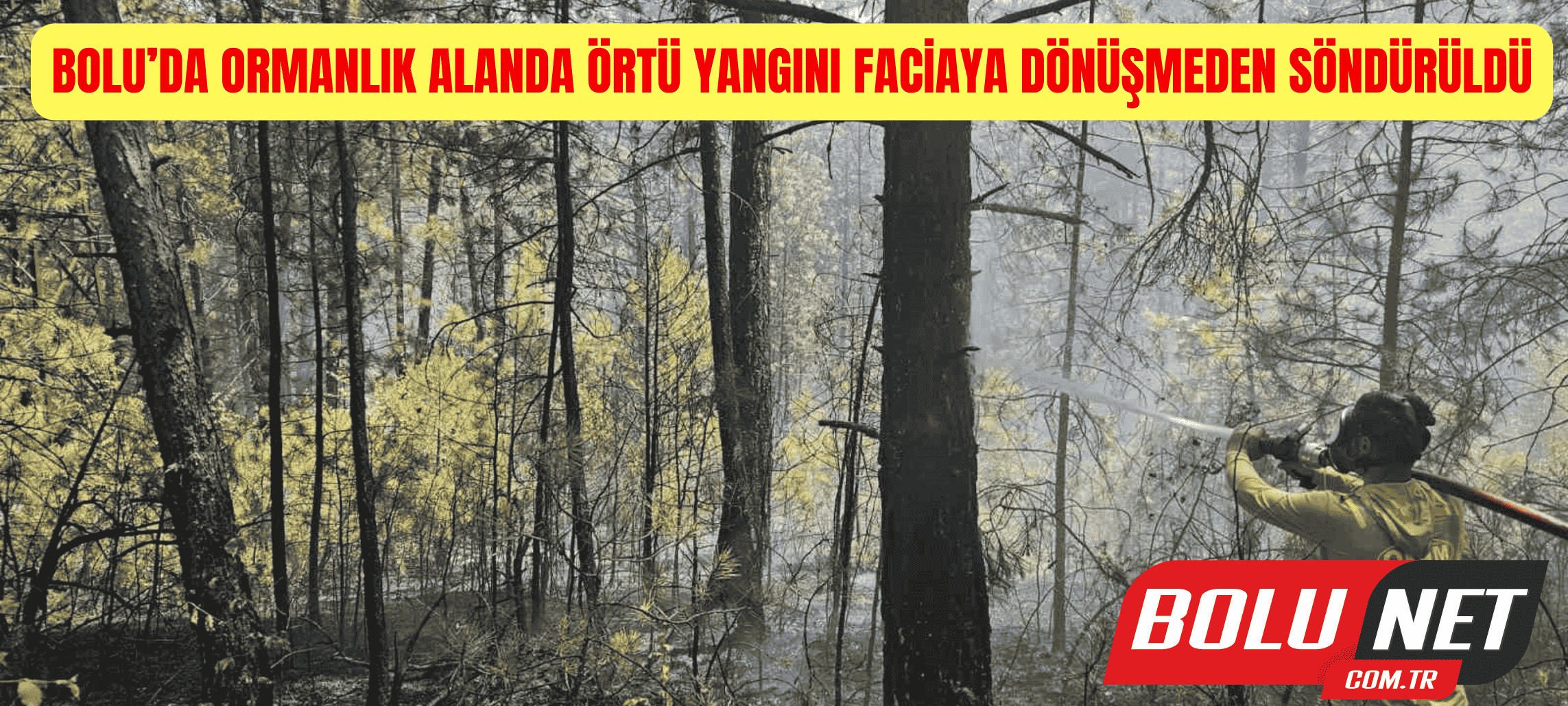 Bolu’da ormanlık alanda örtü yangını faciaya dönüşmeden söndürüldü ...BoluNet
