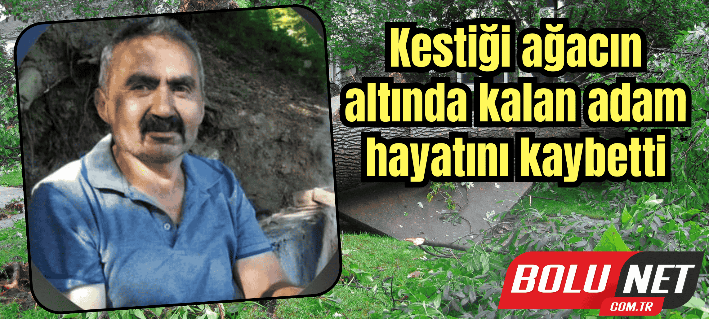 Kestiği ağacın altında kalan adam hayatını kaybetti ...BoluNet