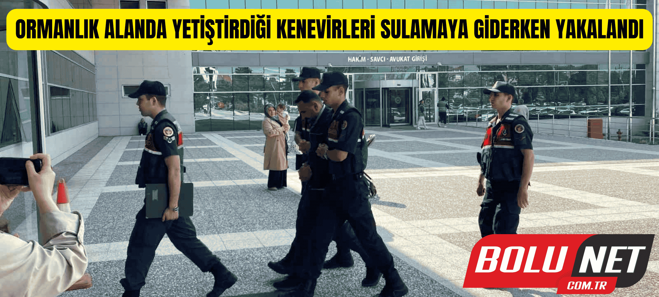 Ormanlık alanda yetiştirdiği kenevirleri sulamaya giderken yakalandı ...BoluNet