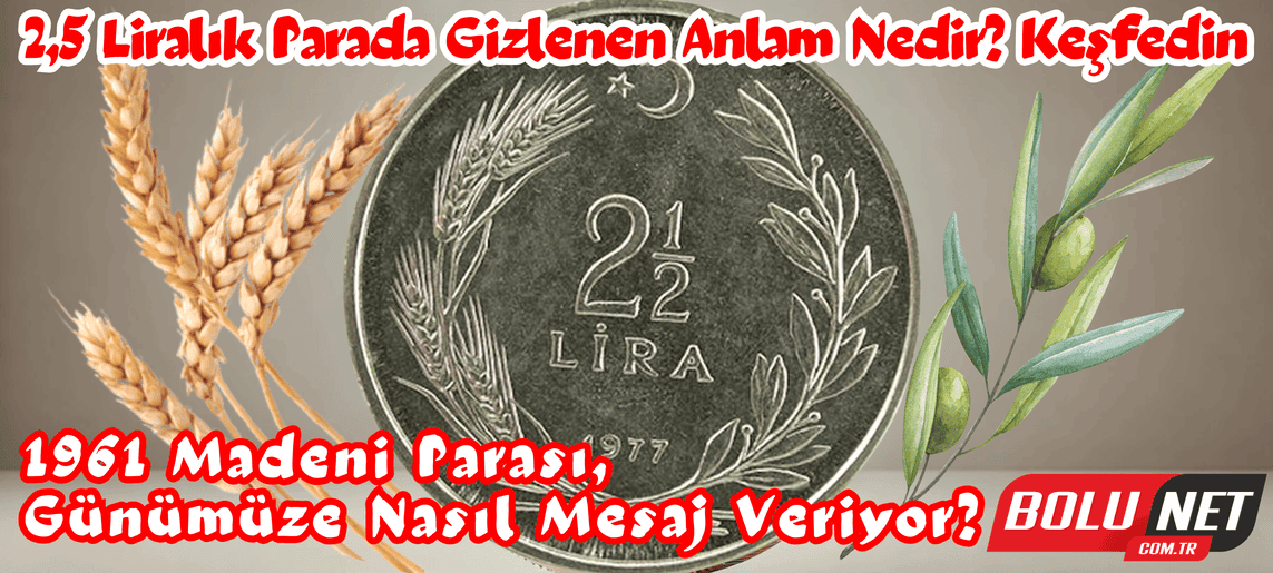 2,5 Liralık Parada Gizlenen Anlam Nedir? Keşfedin... BoluNet