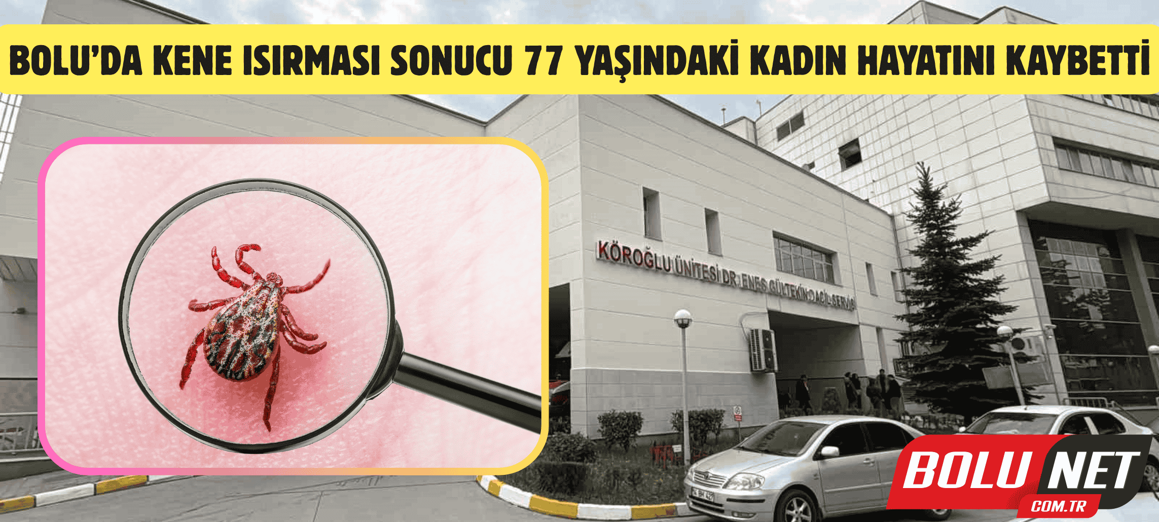 Bolu’da kene ısırması sonucu 77 yaşındaki kadın hayatını kaybetti...BoluNet
