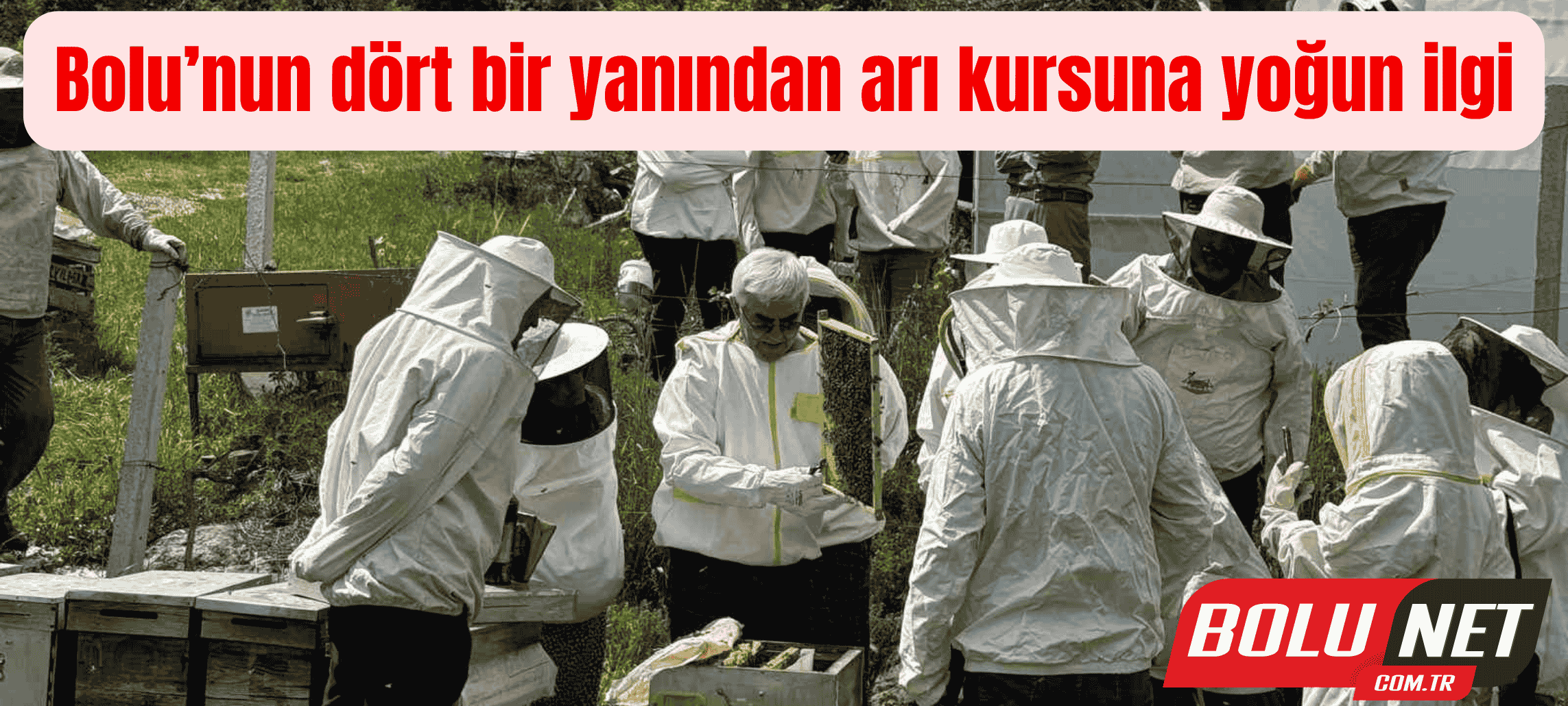 Bolu’nun dört bir yanından arı kursuna yoğun ilgi ...BoluNet