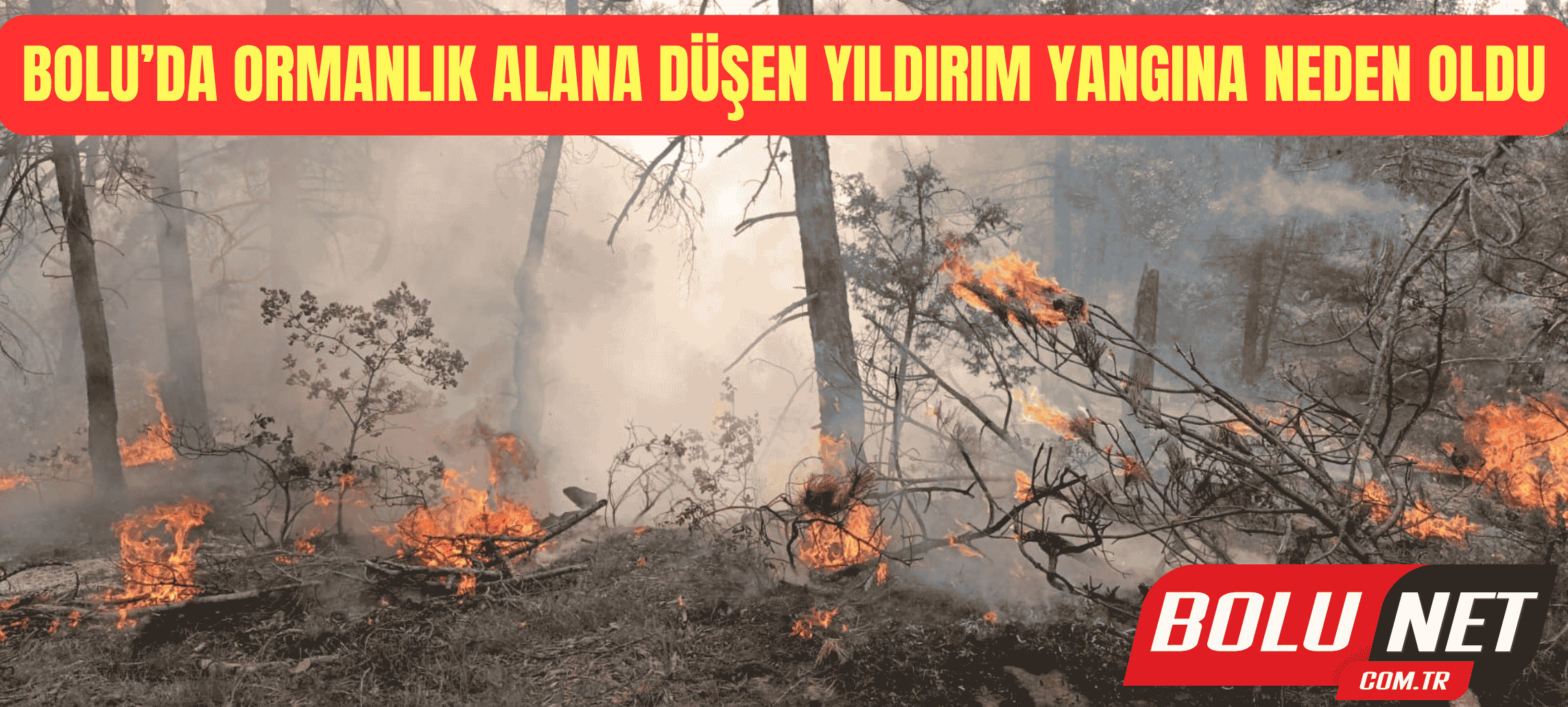Bolu’da ormanlık alana düşen yıldırım yangına neden oldu ...BoluNet