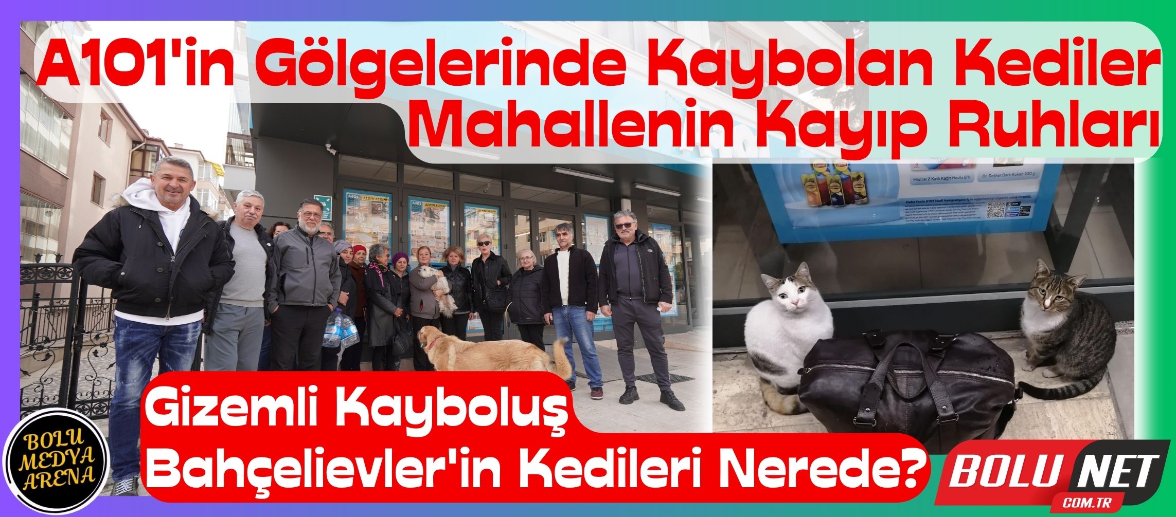 Kayıp Kediler, Kayıp Kalpler: Bahçelievler'in Sessiz Çığlığı... BoluNet