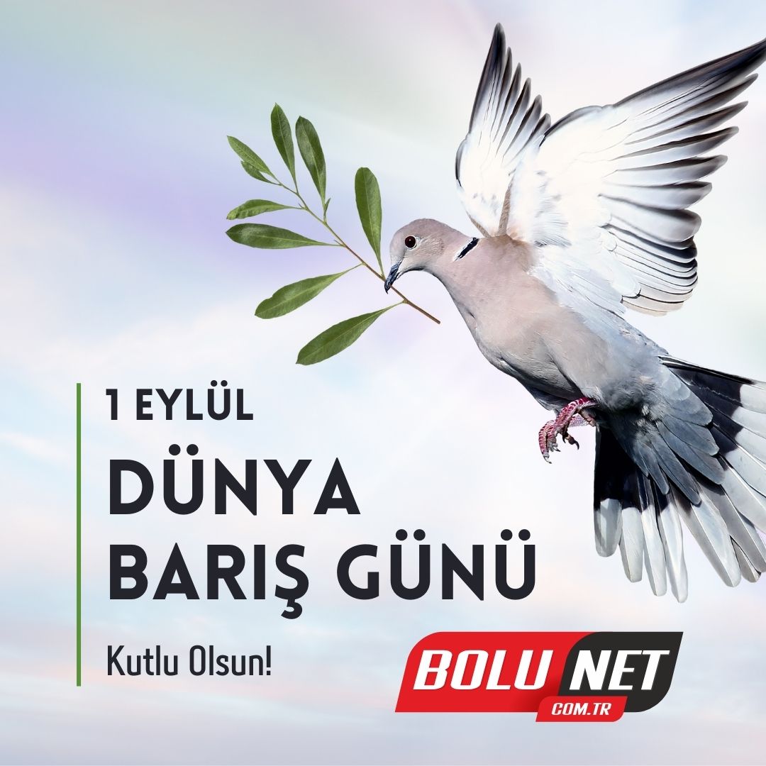 Dünya Barış Günü: Savaşların Görmeyen Gözleri.... BoluNet