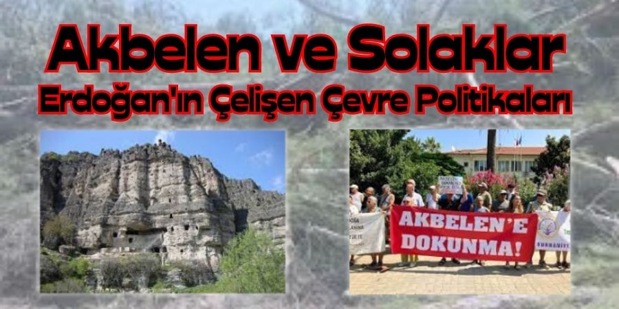 Ağaç Kesilen Akbelen, Korunan Seben: Türkiye'de İktidarın Çevre Çelişkisi...BOLUNET