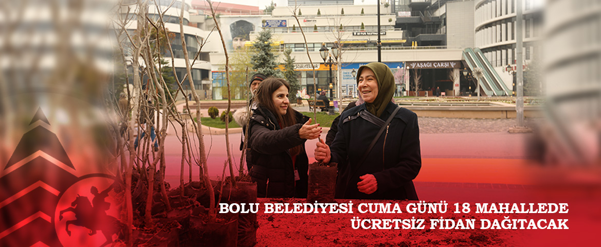 Bolu Belediyesi Cuma günü 18 mahallede ücretsiz fidan dağıtacak