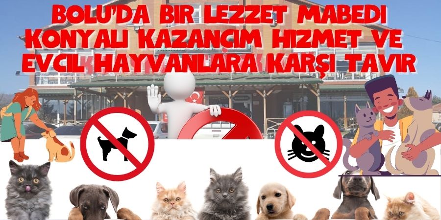 Bolu'nun Lezzet Noktası Konyalı Kazancım Hizmet'te Evcil Hayvanları Unutmayın!