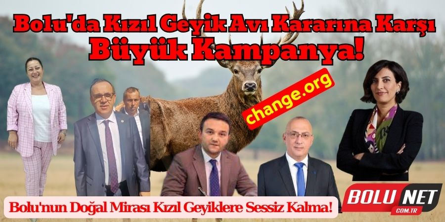 Bolu'da Kızıl Geyik Avı Kararına Karşı Büyük Kampanya! Bolu'nun Sesi Bolunet'ten Kızıl Geyikler İçin Çığlık!...BoluNet