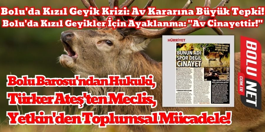 Bolu'nun Doğal Mirası Kızıl Geyikler İçin Ateş, Bolu Barosu ve Yetkin'den Ortak Tepki!...BoluNet