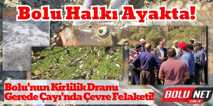 Gerede Çayı'nda Kirlilik Fırtınası: Yetkililer Nerede?...BoluNet