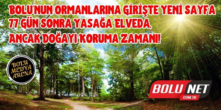 Bolu'da Ormanlara Özgürlük! 77 Gün Sonra Kapılar Açıldı, Ama Dikkat!...BoluNet